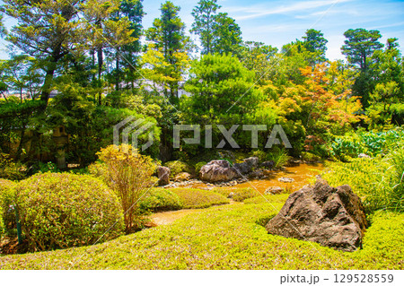 【京都風景】退蔵院　枯山水と池泉回遊式の優美な2種類の庭園 129528559