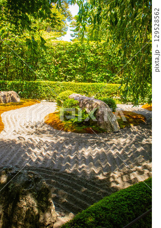【京都風景】退蔵院 枯山水と池泉回遊式の優美な2種類の庭園 【京都風景】退蔵院 枯山水と池泉回遊式の優美な2種類の庭園 129528562