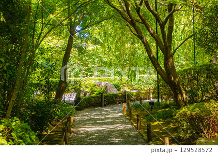 【京都風景】退蔵院 枯山水と池泉回遊式の優美な2種類の庭園 【京都風景】退蔵院 枯山水と池泉回遊式の優美な2種類の庭園 129528572