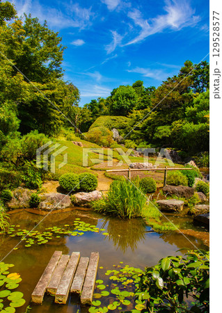 【京都風景】退蔵院 枯山水と池泉回遊式の優美な2種類の庭園 【京都風景】退蔵院 枯山水と池泉回遊式の優美な2種類の庭園 129528577