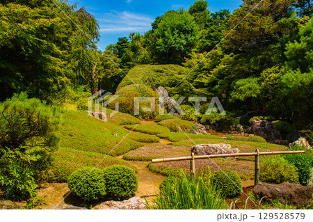 【京都風景】退蔵院 枯山水と池泉回遊式の優美な2種類の庭園 【京都風景】退蔵院 枯山水と池泉回遊式の優美な2種類の庭園 129528579