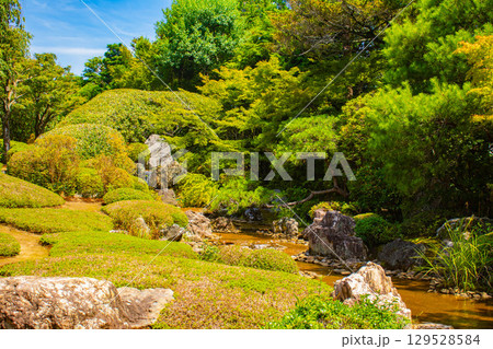 【京都風景】退蔵院　枯山水と池泉回遊式の優美な2種類の庭園 129528584