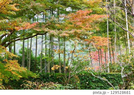 大原 宝泉院 盤桓園 (京都府京都市左京区) 大原 宝泉院 盤桓園 (京都府京都市左京区) 129528681