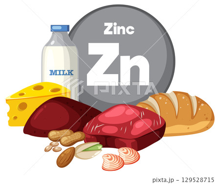 Zinc-Rich Foods Vector With Dairy, Meat, and Bread Zinc-Rich Foods Vector With Dairy, Meat, and Bread 129528715