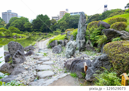 清澄庭園　枯滝の石 129529073
