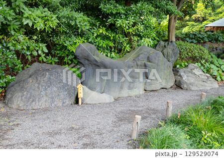 清澄庭園　真鶴石 129529074