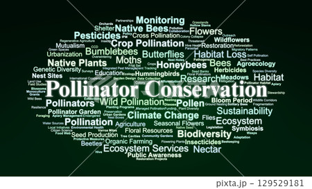 Pollinator Conservation Word Cloud. Key Concepts On Protecting Pollinators, Habitat Restoration, Biodiversity, And Sustainable Ecosystem Management. Pollinator Conservation Word Cloud. Key Concepts On Protecting Pollinators, Habitat Restoration, Biodiversity, And Sustainable Ecosystem Management. 129529181