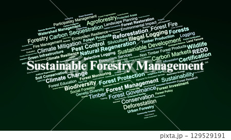 Sustainable Forestry Management Word Cloud. Key Terms on Forest Conservation, Climate Action, Biodiversity, and Sustainable Practices for Experts and Policymakers. 129529191