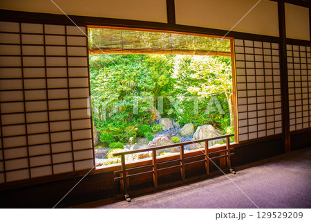 【京都風景】退蔵院 枯山水と池泉回遊式の優美な2種類の庭園 【京都風景】退蔵院 枯山水と池泉回遊式の優美な2種類の庭園 129529209