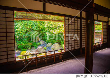 【京都風景】退蔵院 枯山水と池泉回遊式の優美な2種類の庭園 【京都風景】退蔵院 枯山水と池泉回遊式の優美な2種類の庭園 129529210