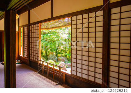 【京都風景】退蔵院　枯山水と池泉回遊式の優美な2種類の庭園 129529213