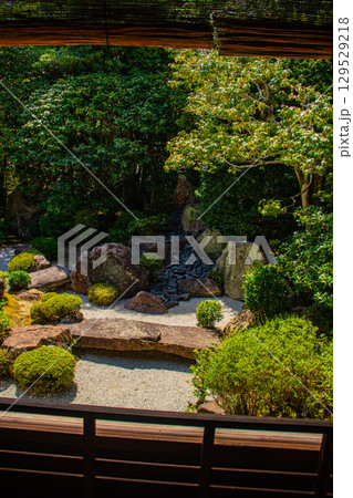 【京都風景】退蔵院 枯山水と池泉回遊式の優美な2種類の庭園 【京都風景】退蔵院 枯山水と池泉回遊式の優美な2種類の庭園 129529218