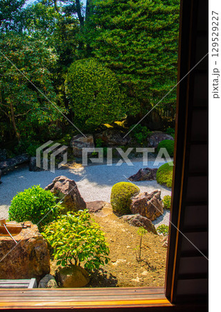 【京都風景】退蔵院 枯山水と池泉回遊式の優美な2種類の庭園 【京都風景】退蔵院 枯山水と池泉回遊式の優美な2種類の庭園 129529227