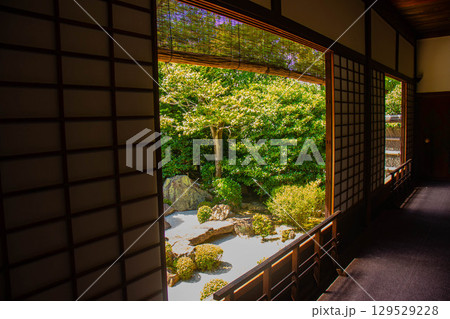 【京都風景】退蔵院 枯山水と池泉回遊式の優美な2種類の庭園 【京都風景】退蔵院 枯山水と池泉回遊式の優美な2種類の庭園 129529228