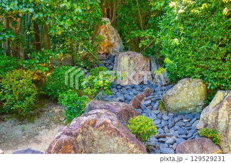 【京都風景】退蔵院　枯山水と池泉回遊式の優美な2種類の庭園 129529231