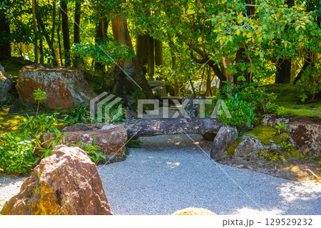 【京都風景】退蔵院　枯山水と池泉回遊式の優美な2種類の庭園 129529232