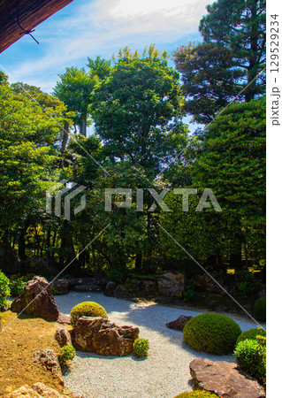 【京都風景】退蔵院 枯山水と池泉回遊式の優美な2種類の庭園 【京都風景】退蔵院 枯山水と池泉回遊式の優美な2種類の庭園 129529234