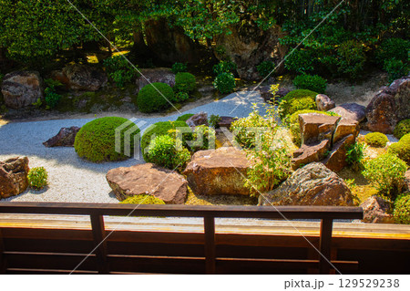 【京都風景】退蔵院　枯山水と池泉回遊式の優美な2種類の庭園 129529238