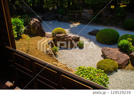 【京都風景】退蔵院 枯山水と池泉回遊式の優美な2種類の庭園 【京都風景】退蔵院 枯山水と池泉回遊式の優美な2種類の庭園 129529239