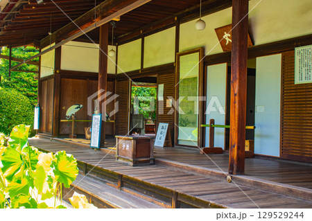 【京都風景】退蔵院 枯山水と池泉回遊式の優美な2種類の庭園 【京都風景】退蔵院 枯山水と池泉回遊式の優美な2種類の庭園 129529244
