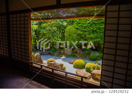 【京都風景】退蔵院　枯山水と池泉回遊式の優美な2種類の庭園 129529252