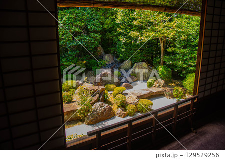 【京都風景】退蔵院 枯山水と池泉回遊式の優美な2種類の庭園 【京都風景】退蔵院 枯山水と池泉回遊式の優美な2種類の庭園 129529256