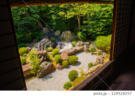 【京都風景】退蔵院 枯山水と池泉回遊式の優美な2種類の庭園 【京都風景】退蔵院 枯山水と池泉回遊式の優美な2種類の庭園 129529257