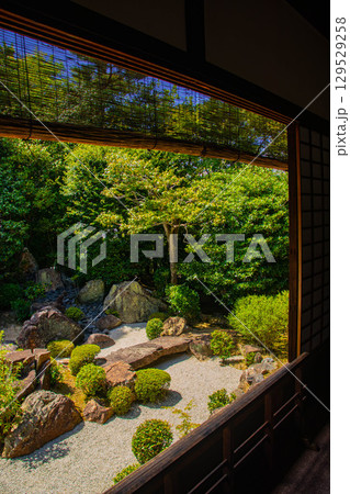 【京都風景】退蔵院　枯山水と池泉回遊式の優美な2種類の庭園 129529258