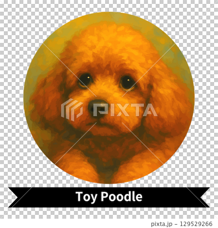 Toy Poodle Dog Portrait - Cute Pet Oil Painting Style Image 129529266