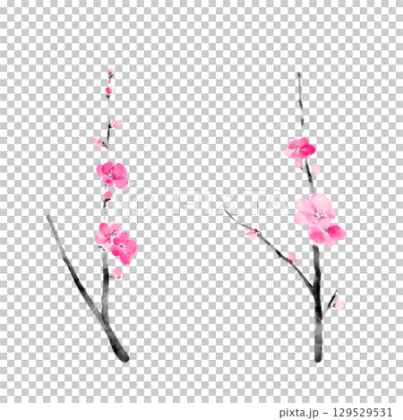 水彩で描いた梅の花のイラスト 水彩で描いた梅の花のイラスト 129529531
