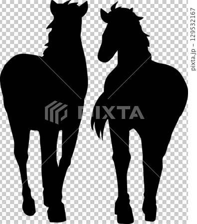 Silhouette of two standing horses 129532167