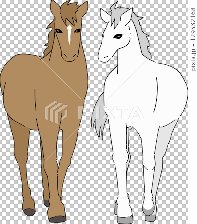 Illustration of two standing horses Illustration of two standing horses 129532168