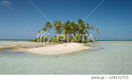 French Polynesia, Rangiroa island: Breathtaking aerial view of pristine tropical island in Rangiroa, French Polynesia, featuring lush palm trees and turquoise waters. Wild nature travel landscape. 129532725