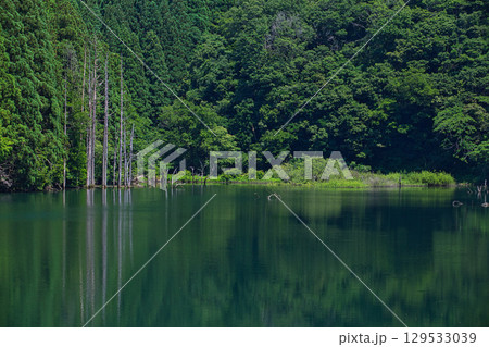 絶景の水鏡 岩屋川砂防ダム 絶景の水鏡 岩屋川砂防ダム 129533039
