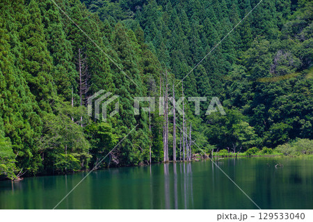 絶景の水鏡　岩屋川砂防ダム 129533040