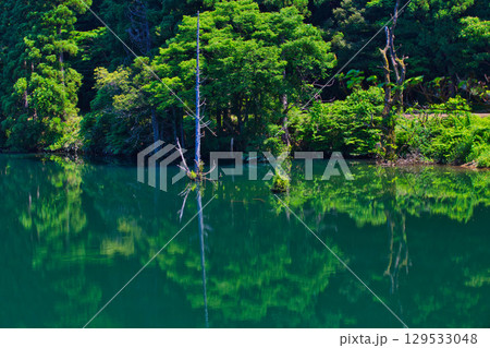 絶景の水鏡　岩屋川砂防ダム 129533048