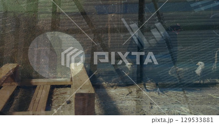 Image of data processing over people silhouettes and chicken Image of data processing over people silhouettes and chicken 129533881
