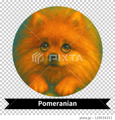 Pomeranian Dog Portrait - Cute Pet Oil Painting Style Image 129534151