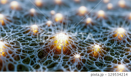 Abstract neural network with glowing nodes, concept of artificial intelligence, mycelium network, or biological synapses with connected neurons background Abstract neural network with glowing nodes, concept of artificial intelligence, mycelium network, or biological synapses with connected neurons background 129534214