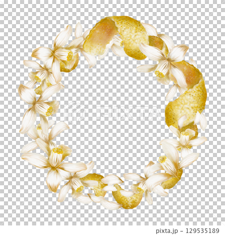 Round wreath blooming white lemon tree flowers,peel,zest spirals and curls-fragrant garnish for menu,refreshing cocktails fresh,for recipes,bars,food.Watercolor illustration isolated on white Round wreath blooming white lemon tree flowers,peel,zest spirals and curls-fragrant garnish for menu,refreshing cocktails fresh,for recipes,bars,food.Watercolor illustration isolated on white 129535189