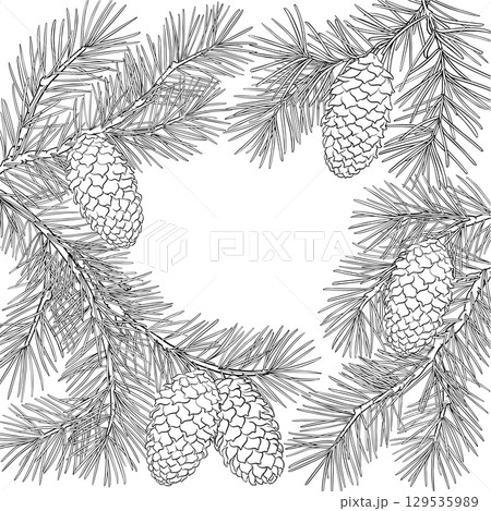 Fir Tree Branch with Cones Outline Frame. Fir Tree Branch with Cones Outline Frame. 129535989