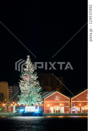 北海道_函館の巨大クリスマスツリー 129535992