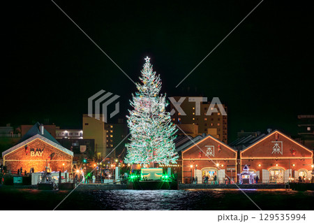 北海道_函館の巨大クリスマスツリー 129535994