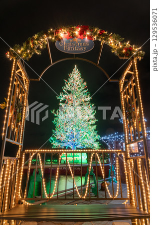 北海道_函館の巨大クリスマスツリー 129536071