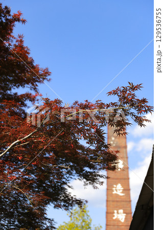 もみじと青い空 129536755