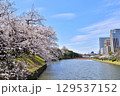 福岡城お濠　舞鶴公園の桜　福岡市中央区舞鶴公園　 129537152