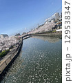 桜咲く川の川面に映る風景 129538347