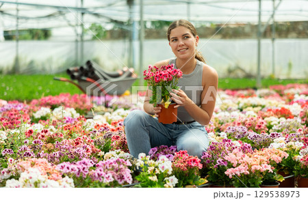 Woman holding pot with pink kalanchoe flowers in greenhouse 129538973