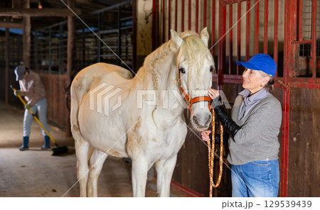 Mature woman with a white horse in stable Mature woman with a white horse in stable 129539439