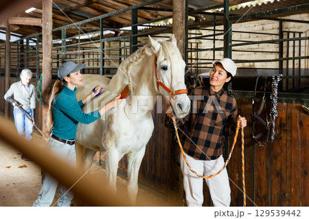 Women horsebreeders grooming white horse in stable 129539442